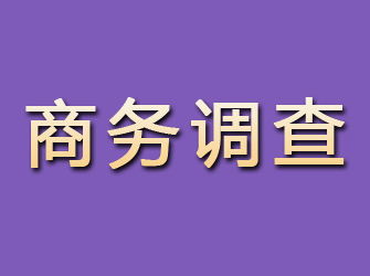 晋安商务调查